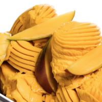 Zmrzlina Special Mango Sorbet  2,4lL vanička